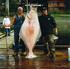 200 lb Halibut 12 lb test line