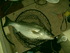 Night time Striper Fishing on the Delaware River