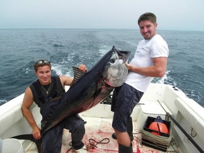 Smaller tunas, like this 170 pounder, can be tackled on spinning and standup gear.