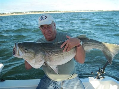 This 46 pound bass fell to a live eel aboard the charter boat Miss Loretta.