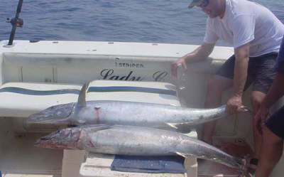 A Texas Wahoo Laid out on the LadyC - Capt.Bill