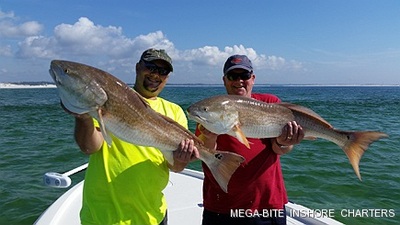 Big Redfish can be caught on the shallows off the surf in March
