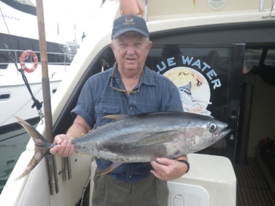 Durban Yellowfin Tuna Fishing