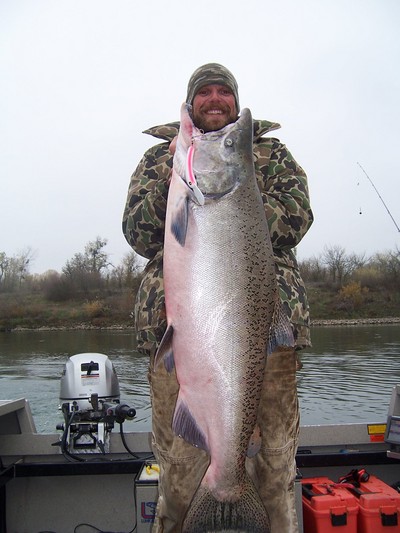 47 pound chinook salmon caught December 5, 2008 with Professional guide services Dave Jacobs