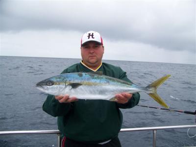 Yellowtail caught by the 601 - Walter Dickson