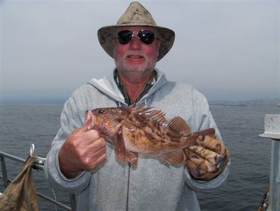 Tom Enberg's brown rockfish caught off 3 Rocks