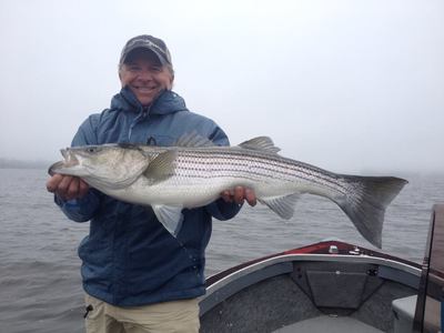 River Striped bass caught aboard Reel Therapy