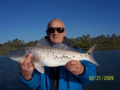 39 spotted redfish