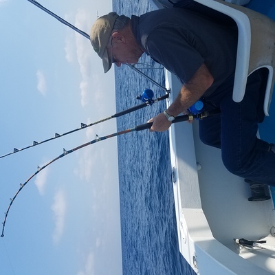 puerto vallarta fishing report
