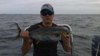 Yellowfin Tuna No. 203