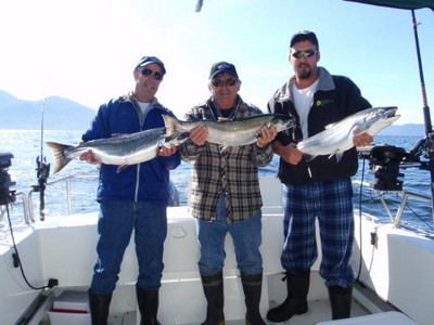 douglas channel coho (silver) salmon