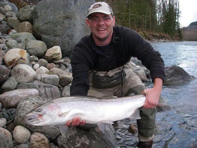wild steelhead from chilliwack river caught by our guest on guided trip