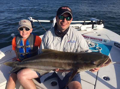 forty one pound Cobia