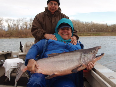 41 pound chinook salmon caught with guide Dave Jacobs December 15, 2008