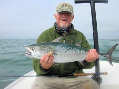 Anna Maria Island winter resident, Bill Morrison, with a false albacore caught and released on a fly while fishing the coastal gulf in Sarasota with Capt. Rick Grassett.