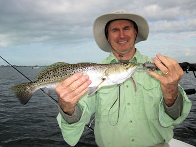 Bryan Beebe's Sarasota Bay fly trout caught and released with capt. Rick Grassett.