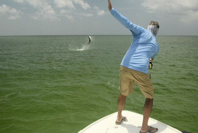 Capt. Rick DePaiva Sarasota fly tarpon jump with Capt. Rick Grassett