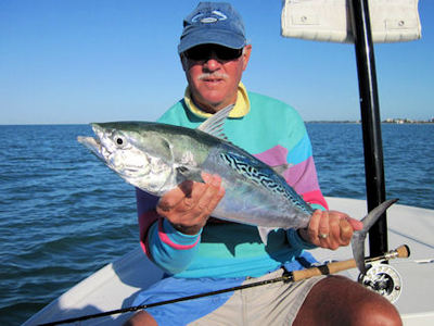 Cary Ward's Sarasota fly false albacore caught and released with Capt. Rick Grassett.