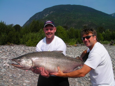 LOOKING FORWARD to Skeena River Chinook: Hi Noel, well the 55-pounder (45 inch by 29 inch girth) in the pic is real as life as our latest guest from Grande Prairie, Alberta set the hook on this Skeena monster August 5, 2010 just in time before the closure