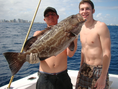 Grouper caught sportfishing in Fort Lauderdale