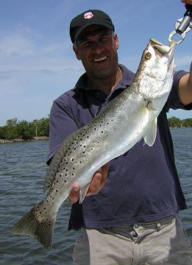 Large Seatrout