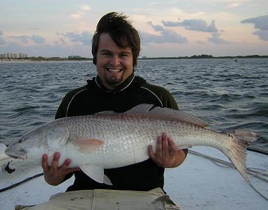 30 pound Redfish