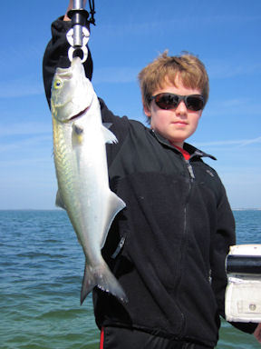 Garrett Anderson Sarasota Bay CAL jig bluefish