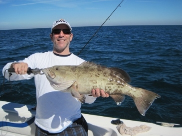 29-inch, 12-lb. gag grouper released
