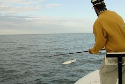 Hal Lutz, from Parrish, FL, battles a tarpon to the boat while fishing with Capt. Rick Grassett.