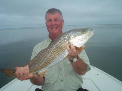 Sarasota winter resident, Harry Beaty, caught thsi big red on a CAL jig with a shad tail while fishing Sarasota Bay with Capt. Rick Grassett.