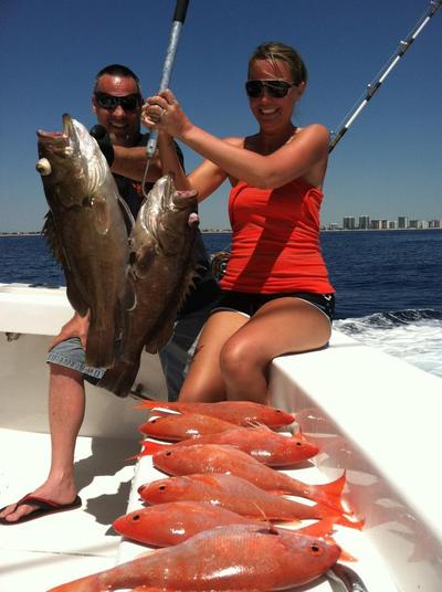 Snappers and groupers caught in Ft Lauderdale