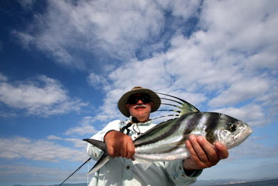 Another wonderful Baja Rooster fish caught while fly fishing
