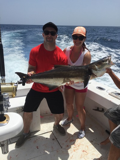 Nice cobia caught on our sportfishing charter