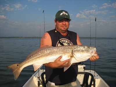 Nice Redfish Caught with Mullet