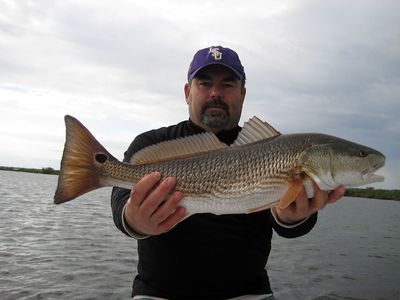 Nice Sight Fished Redfish By Pat From Texas