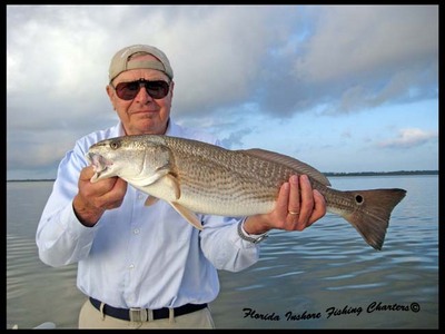 Florida Redfish