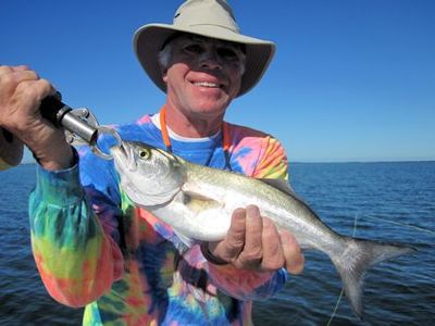 Joe Brinkmeyer, from Siesta Key, FL, with a bluefish caught and released on a CAL jig with a shad tail while fishing a Sarasota Bay deep grass flat with Capt. Rick Grassett.