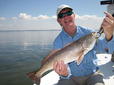 Joe McGurrin's Sarasota Bay CAL shad redfish caught and released with Capt. Rick Grassett.