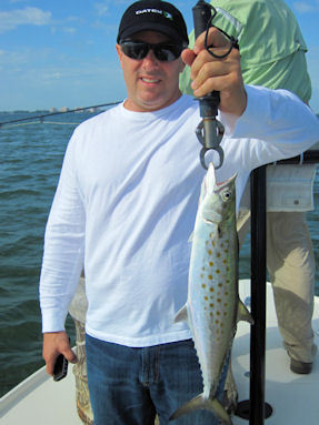 John Damico's Sarasota Bay CAL jig spanish mackerel caught and released with Capt. Rick Grassett.