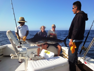 Chris and Sally Wade, who went out on the Rebecca and did extremely well to release three striped marlin at the 11.50 spot, estimated at 100 to 130 lbs, all on live mackerel