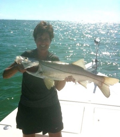 Snook in Clearwater Fl