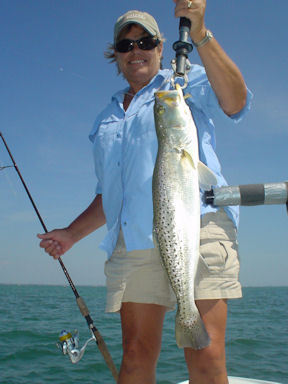 Kimball Beery's Sarasota Bay DOA Deadly Combo trout