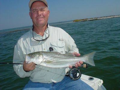 Kirk Grassett, from Middletown, DE, with a nice Chesapeake Bay striper caught on a fly near Crisfield, MD
