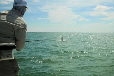 Kirk Grassett, from Middletown, DE, caught and released this tarpon on a fly while fishing the coastal gulf in Sarasota with Capt. Rick Grassett.