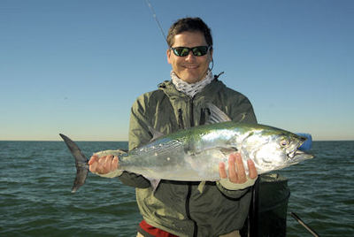 Kyle Ruffing's Sarasota fly albie caught with Capt. Rick Grassett.