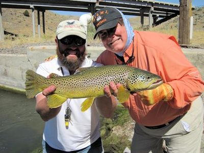 Lynn Skipper, from Apollo Beach, FL with a brown troutcaught and released on a fly while fishing out of Crane Meadow Lodge in Twin Bridges, MT.