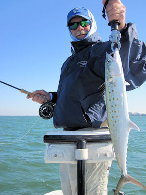 Mike Perez Sarasota Bay Clouser fly Spanish mackerel