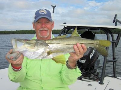 Sarasota winter resident, Mike Perez, with a snook caught and released on a top water plug while fishing Sarasota Bay with Capt. Rick Grassett.