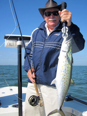 Norm Boardman Sarasota Bay fly Spanish mackerel caught and released with Capt. Rick Grassett.