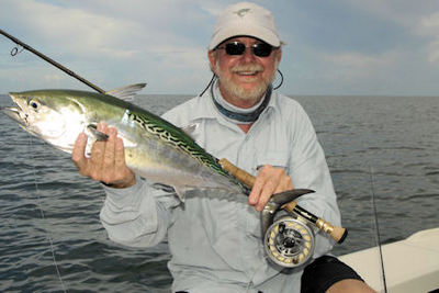 Rusty Chinnis's Sarasota fly albie caught with Capt. Rick Grassett.